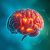 Choroba Parkinsona: objawy, diagnoza i nowoczesne leczenie