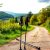 Nordic walking i odchudzanie – jak schudnąć z kijkami?