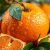 Satsuma – zdrowe właściwości mandarynki, witaminy i minerały